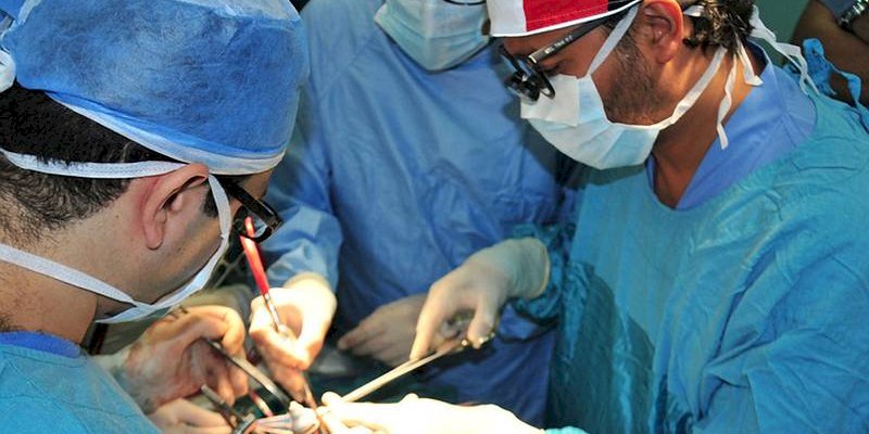 First whole lung transplant in Egypt